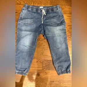 Lane Bryant Blue Relaxed Women’s Jeans